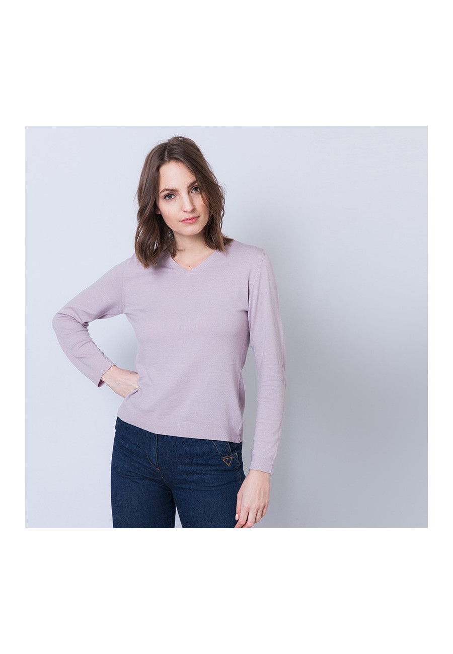 Pull col V Aristote
