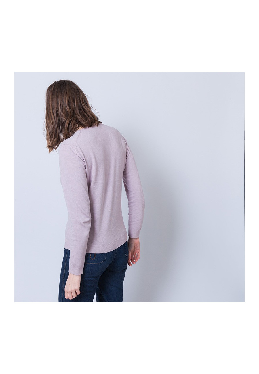 Pull col V Aristote