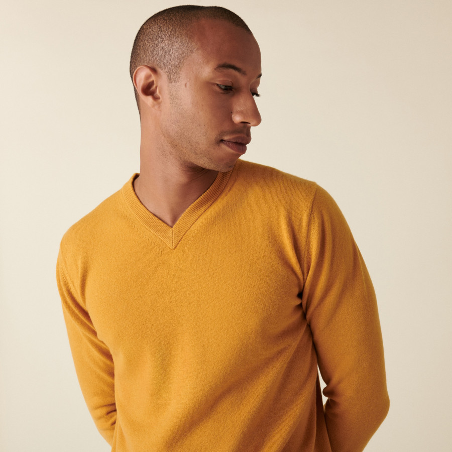 Cashmere V-neck sweater - Evann