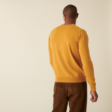 Cashmere V-neck sweater - Evann