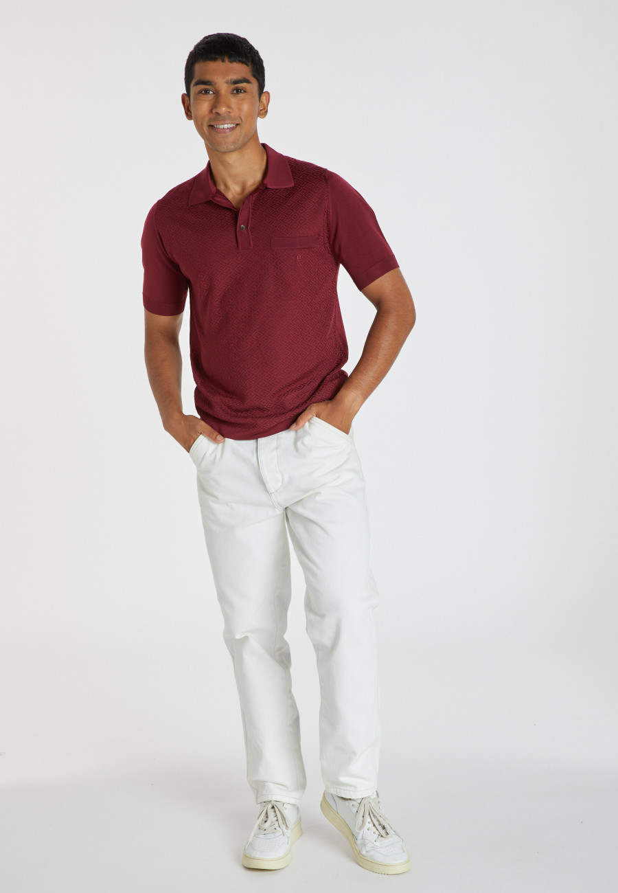 Polo Fil Lumière à motifs - Albin