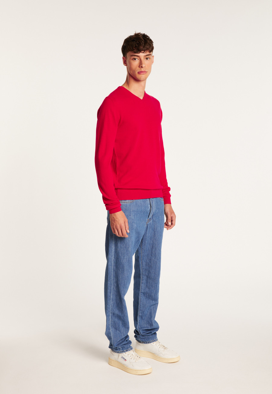 V-neck cashmere sweater - Benjamin