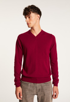 Cashmere V-neck sweater - Evann