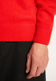 Merino wool crewneck sweater - Thomas